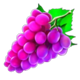 burning spins 243 grape symbol