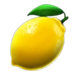 burning spins 243 lemon symbol
