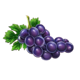 bursting crowns 5 grape symbol