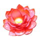 butterfly staxx 2 2