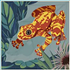 cape wins legends of the coastline frog symbol
