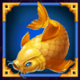 carnival cat bonus combo fish symbol