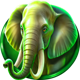 cheetah wild elephant symbol