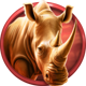 cheetah wild rhino symbol