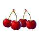 chicken coin cherry symbol