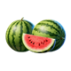 chicken coin melon symbol