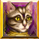 cleopatras coins treasure of the nile cat symbol