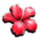 club tropicana happy hour flower symbol
