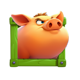 cluckin wild spins pig symbol