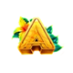 coco loco cash a symbol