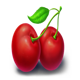 coin win 2 hold the spin cherry symbol