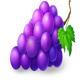 coin win 2 hold the spin grapes symbol