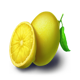 coin win 2 hold the spin lemons symbol
