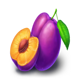 coin win 2 hold the spin plums symbol