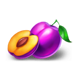 coin win express hold the spin plum symbol