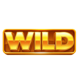 coin win express hold the spin wild symbol