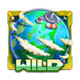cosmic crusade wild symbol