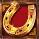 cowboys gold horseshoe symbol