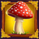 crazy clover cash mushroom symbol