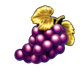 deco diamonds elite grapes symbol
