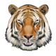 diamond heat bengals treasures symbol 1
