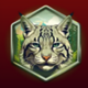 eagle eye cub symbol