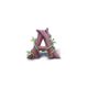 eden a symbol