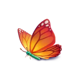 eden butterfly symbol