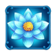 elephants gold bonus combo flower symbol