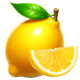 elite coin lemon symbol