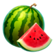 elite coin melon symbol