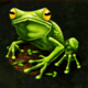 enchanted garden ii frog symbol