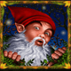 enchanted garden ii gnom symbol