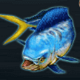 extreme fishing bluefish symbol