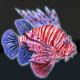 extreme fishing pinkfish symbol