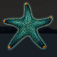 extreme fishing starfish symbol