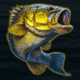 extreme fishing yellowfish symbol