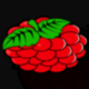 fenix play 27 berries symbol