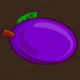 fenix play deluxe plum symbol