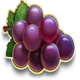 fire joker blitz grapes symbol