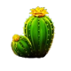 fire stampede ultimate ridin the respin cactus symbol