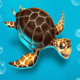 fishing trawler turtle symbol