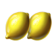 fortune bags lemons symbol