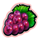 fortune five double slot grapes symbol