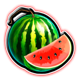 fortune five double slot melon symbol