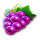 fortune wild grapes symbol