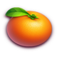 fortune wild orange symbol