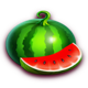 fortune wild watermelon symbol