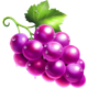 fruit fusion three pots grape symbol