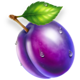 fruit fusion three pots plum symbol